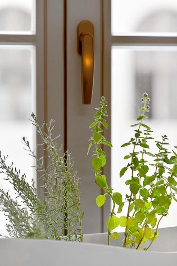 Herbal Hotel فروتسواف المظهر الخارجي الصورة