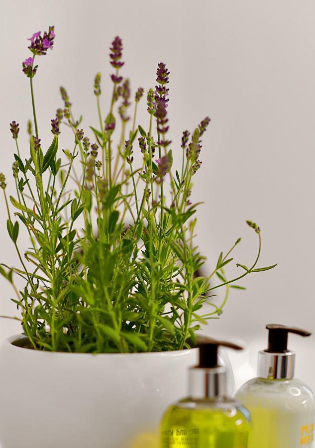 Herbal Hotel فروتسواف المظهر الخارجي الصورة